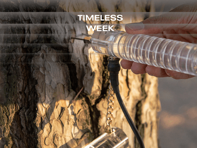 나무의사 김천기