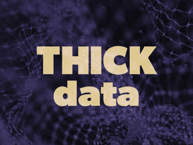 Thick Data